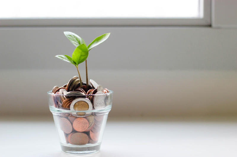 Plant with Coins